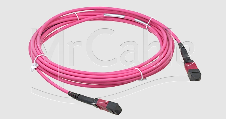 Фото Neutrik NKOP24SA-A-0-*