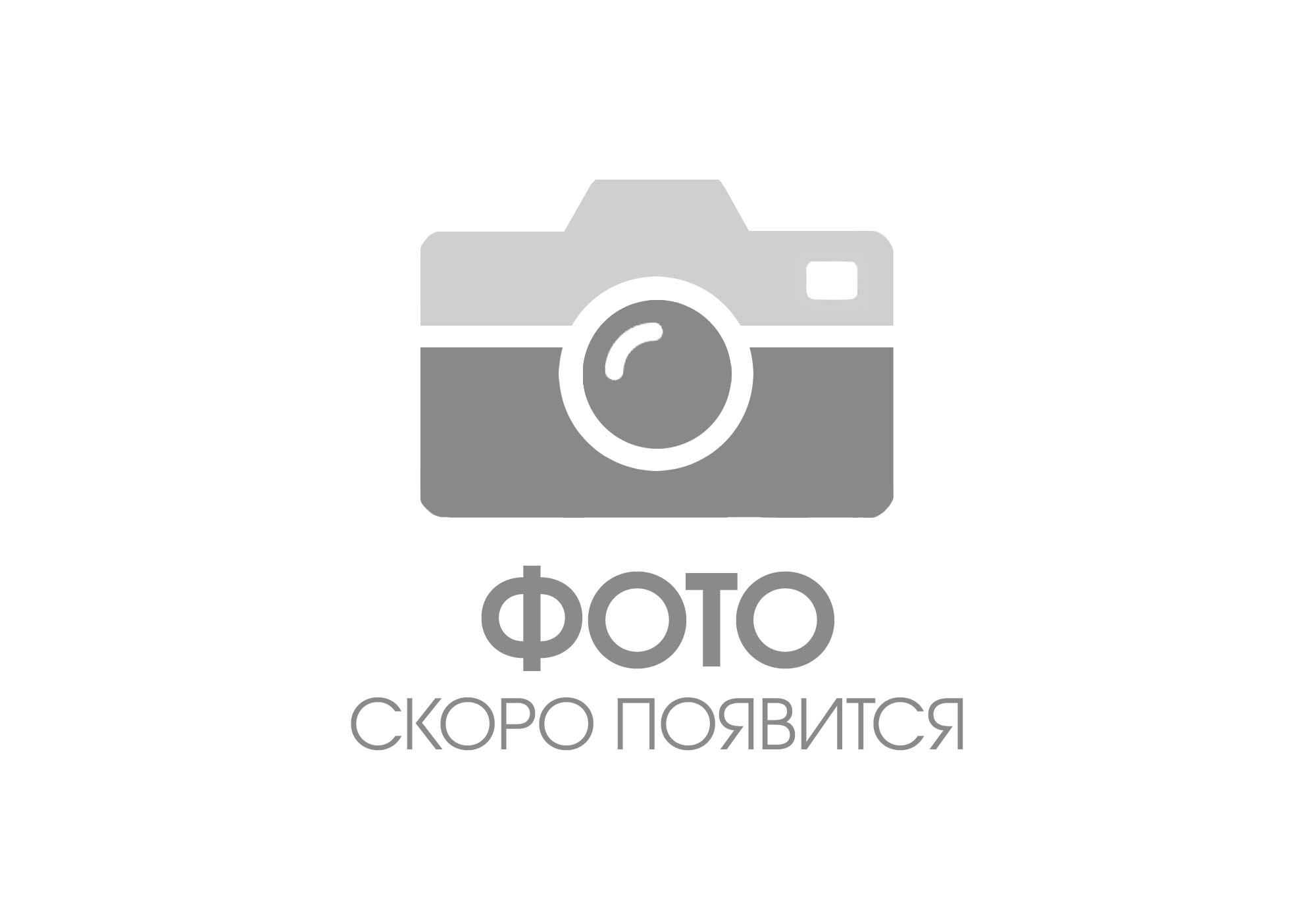 Фото Sennheiser GZG 1029