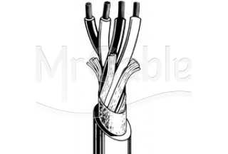 Фото Canare 4S11