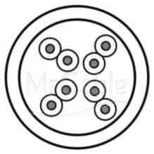 Фото Belden 1583EPE