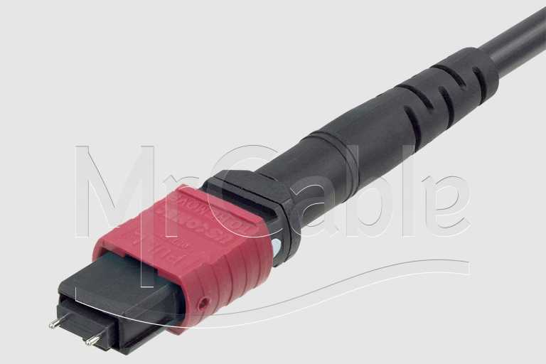 Фото Neutrik NKOP24M-A-0-*