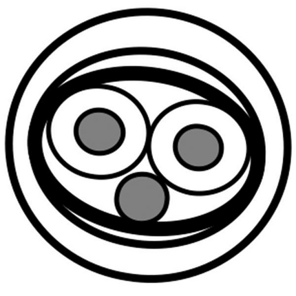 Фото Belden 1508ENH