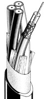 Фото Canare V2F-1.5C