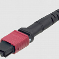 Патч-кабели <MTP24 - 24x LC>