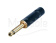 Фото Rean NYS224BG