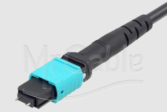 af805ccb6a40a8ee5af487eced1f9f67