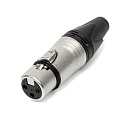 Фото XLR