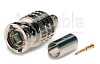 Фото Canare BCP-C71A