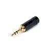 Rean NYS231BG купить в Москве