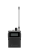 Sennheiser SPECTERA SEK (UHF) Фото Sennheiser SPECTERA SEK (UHF)