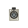 Фото Canare XLR3-31F77
