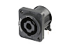 NEUTRIK NL2MDXX-H-3 купить в Москве