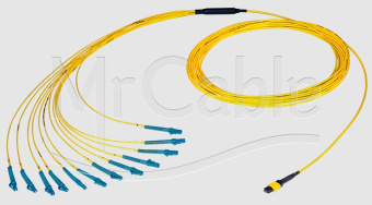 Neutrik NKOB12M-A-0-*